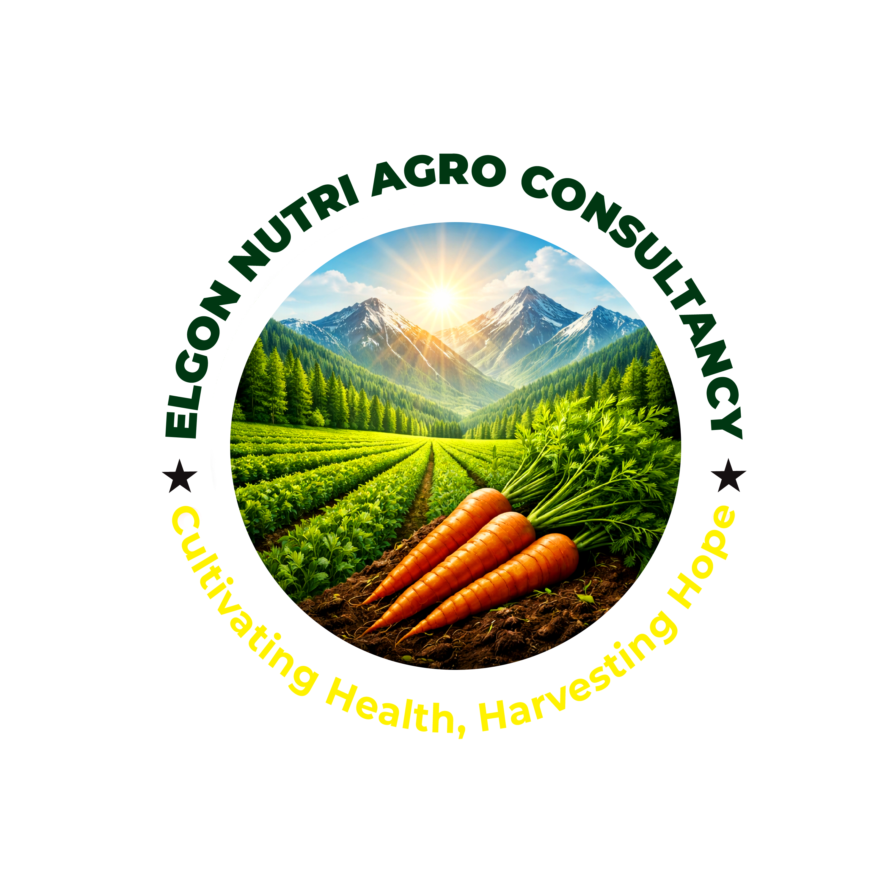 ENAC Logo